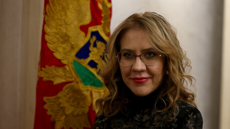 COMP: Hapšenje Vesne Bratić političko-sociološki fenomen, sa pravnim reperkusijama