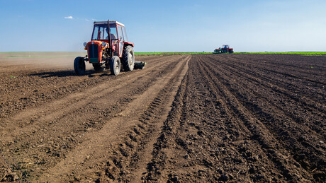 Будућност српске пољопривреде: Да ли нова стратегија може Србији да врати прехрамбени суверенитет