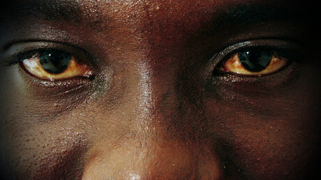 Bacili oko i na Afriku: Sjedinjene Države bi da se vrate u Sahel