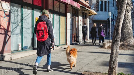 После хладног јутра, очекује се претежно сунчано и топло време