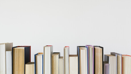 Награда "Меша Селимовић" Ненаду Шапоњи