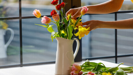 Cveće koje izaziva glavobolje - posebno aktuelno u ovo doba godine