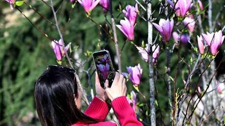 Konačno topla verzija proleća: Sunčani vikend, temperature i do 19 stepeni