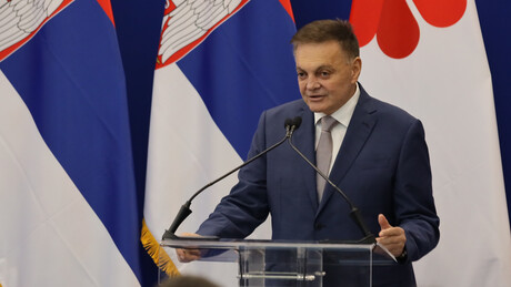 Бојићу диплома и медаља Руске академије наука