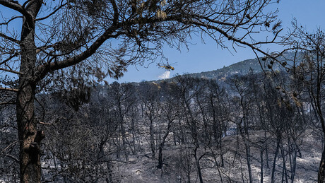 Velike naftne kompanije zaradile 93 milijarde dolara usred rata i klimatske krize