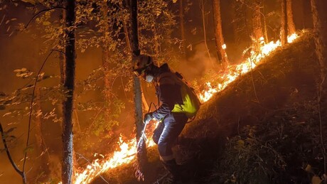 Požar u Deliblatskoj peščari zahvatio do osam odsto šume - Rusko-srpski centar pomagao kod Kraljeva