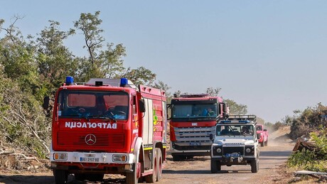 У Србији активно 45 пожара: Киша није помогла, јак ветар поново распламсава ватру