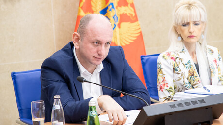 Кнежевић за РТ: Народ Црне Горе је уз Русију, у случај "Рибар" умешани Британци